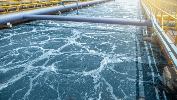 cooling water intake cleaning